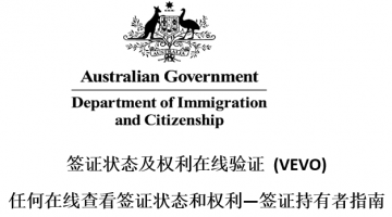 VEVO(签证状态及权利在线验证)使用指南