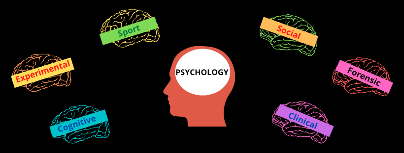 澳大利亚心理学（Psychology）详解：哪些大学值得考虑？