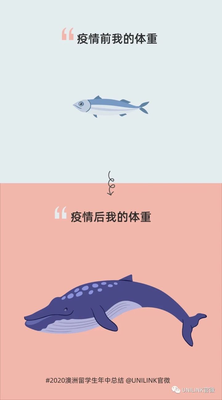 《澳洲留学生魔幻2020年中总结》