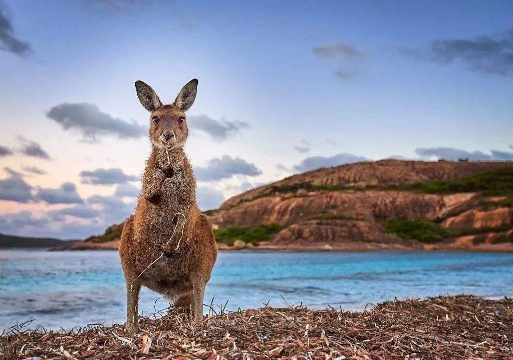 澳大利亚旅游局发布101种不同的澳洲度假方式